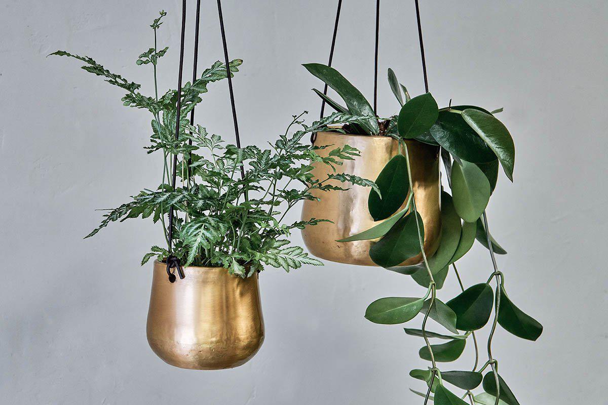 Atsu Brass Hanging Planter - Antique Brass - Large 12.5 x 14cm (dia)